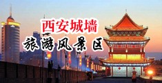 老外的屌又粗又长视频中国陕西-西安城墙旅游风景区
