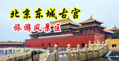 老外又粗又长的大鸡巴狂肏华人处女大学生小B穴中国北京-东城古宫旅游风景区